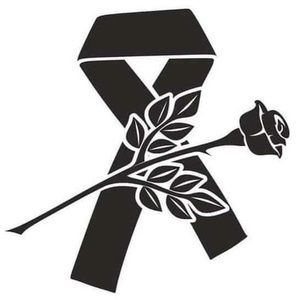 Meet your Posher, Elsi